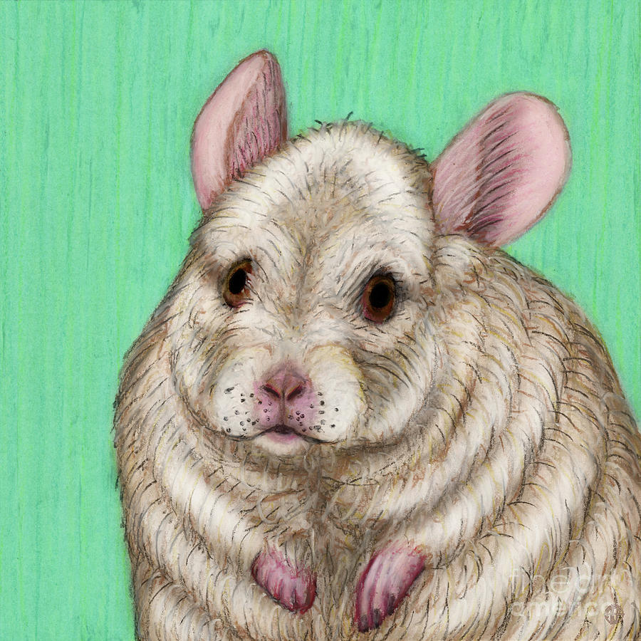 White Chinchilla Painting by Amy E Fraser