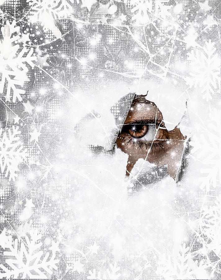 White Christmas 2020 Digital Art by Lauries Intuitive