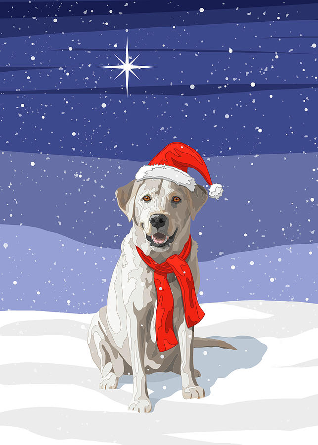 White Christmas Labrador Retriever in Snow with Santa Hat Painting by Crista Forest