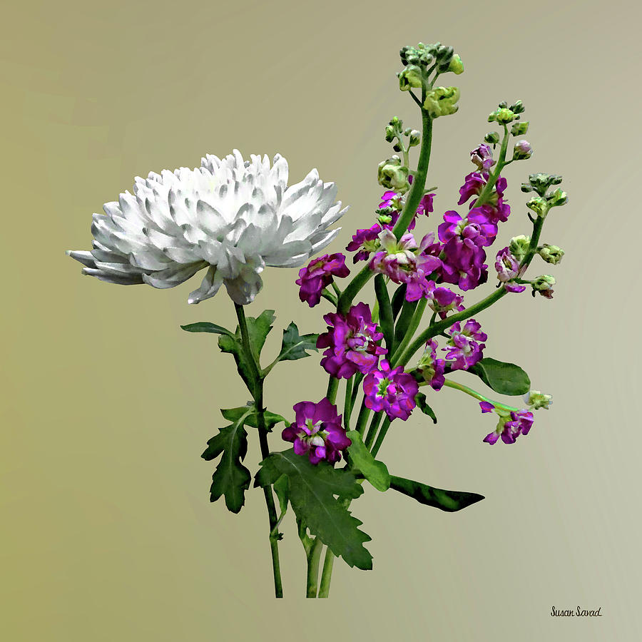 White Chrysanthemum and Purple Snapdragons Photograph by Susan Savad