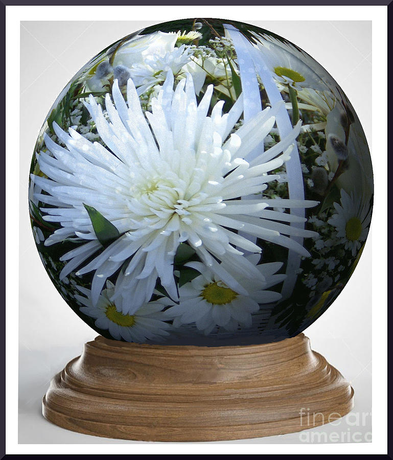 White Chrysanthemum Globe on Base Digital Art by Charles Robinson