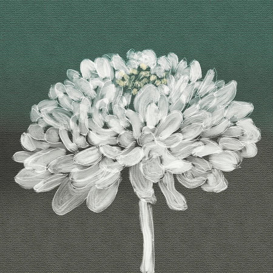 White Chrysanthemum Digital Art by Steve Hayhurst