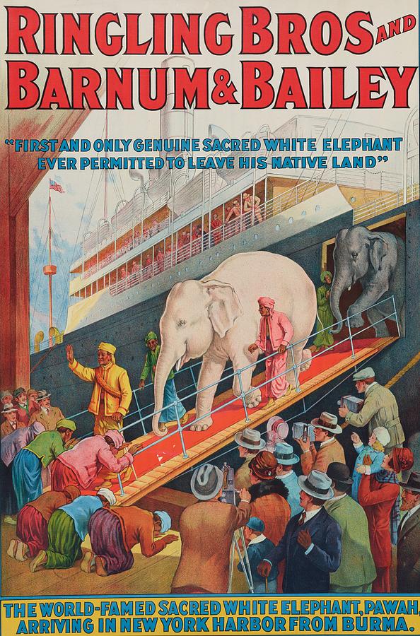 White Circus Elephant 1927 Digital Art by Kim Kent