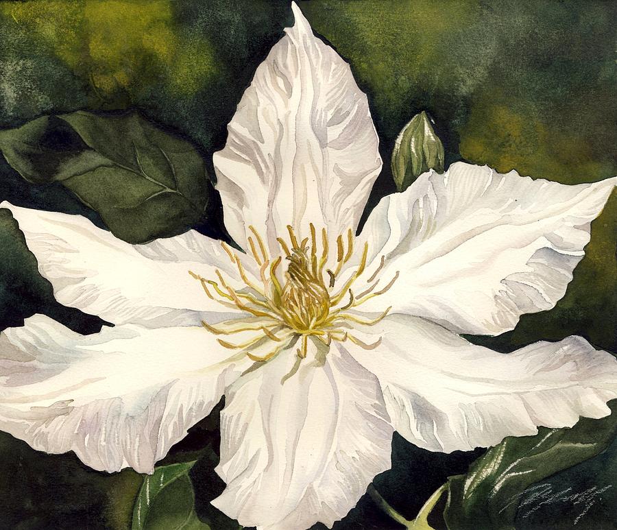 White Clematis Painting by Alfred Ng