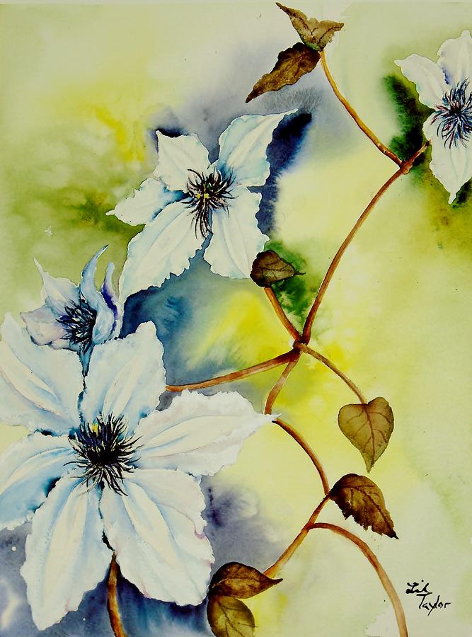 White Clematis Painting