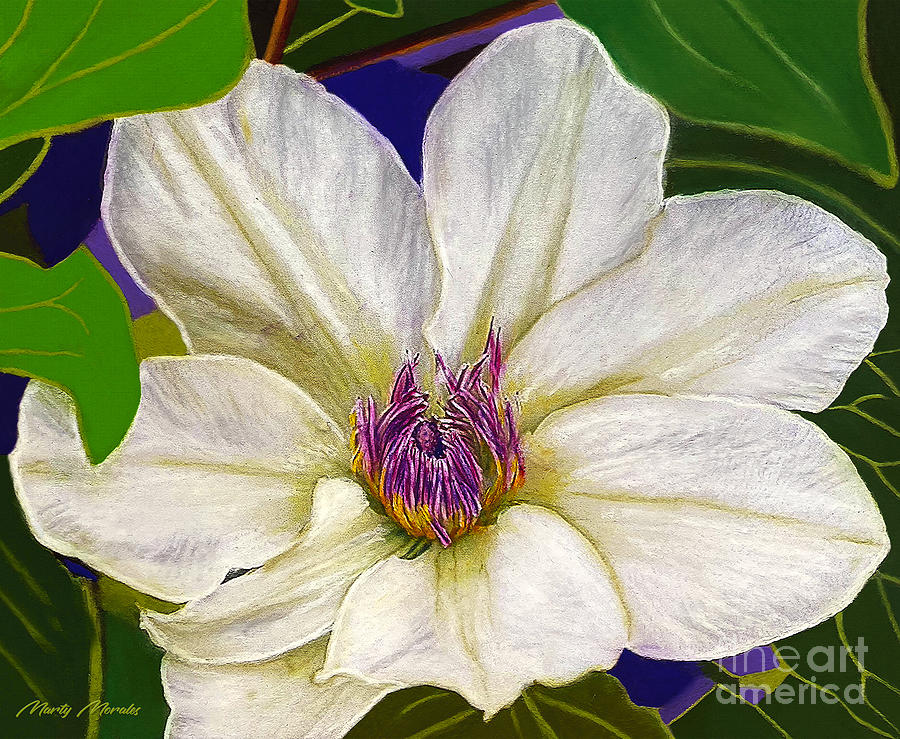 White Clematis Flower V2 Painting by Martys Royal Art
