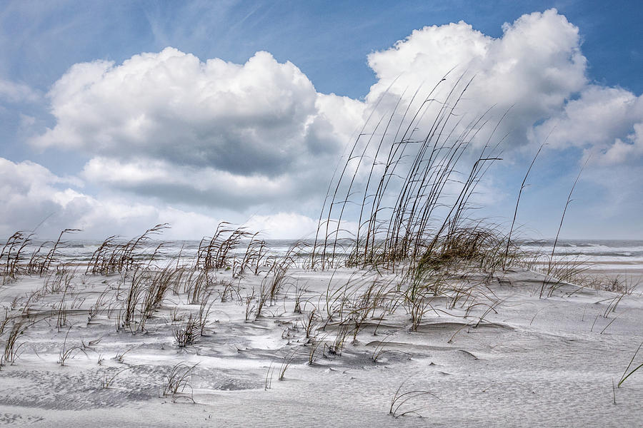 White Clouds over White Sands Photograph by Debra and Dave Vanderlaan