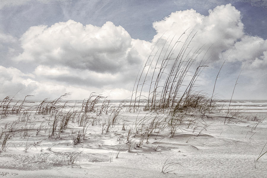 White Clouds over White Sands in Beachhouse Tones Photograph by Debra and Dave Vanderlaan
