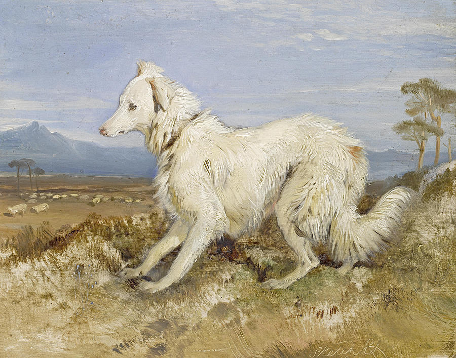 White Collie in a landscape Painting by Edwin Landseer