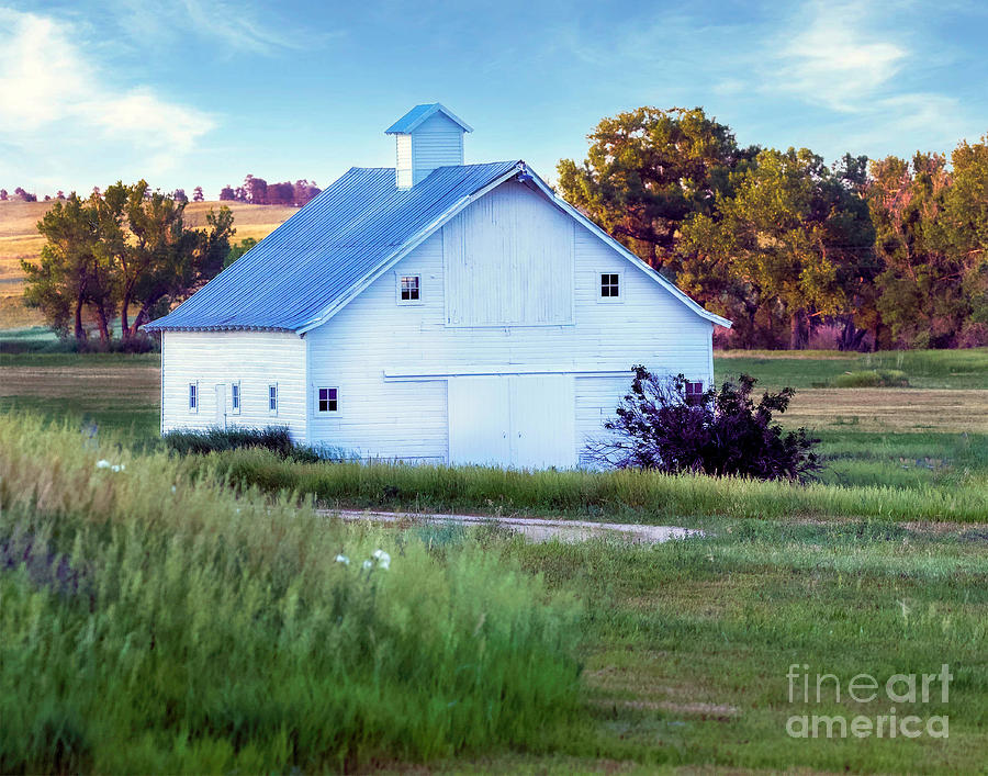 White Country Barn Photograph by Shirley Dutchkowski