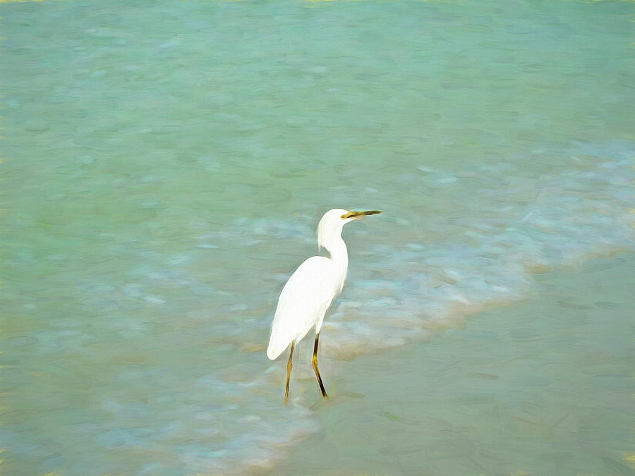 White Crane In The Surf Sarasota Florida Mixed Media by Deborah League