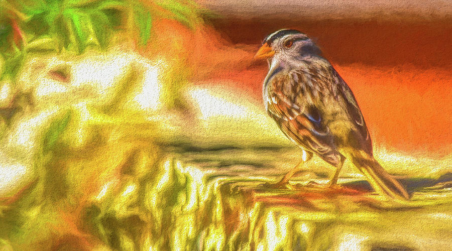 White Crowned Sparrow in the Shadows Impressionistic Mixed Media by Linda Brody