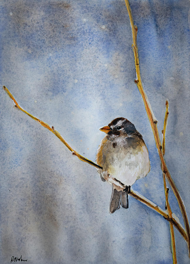 White Crowned Sparrow Painting by Rick Mosher