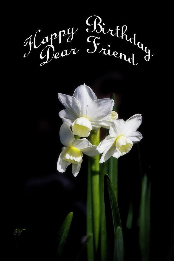 White Daffodils - Birthday Photograph by Elaine Teague