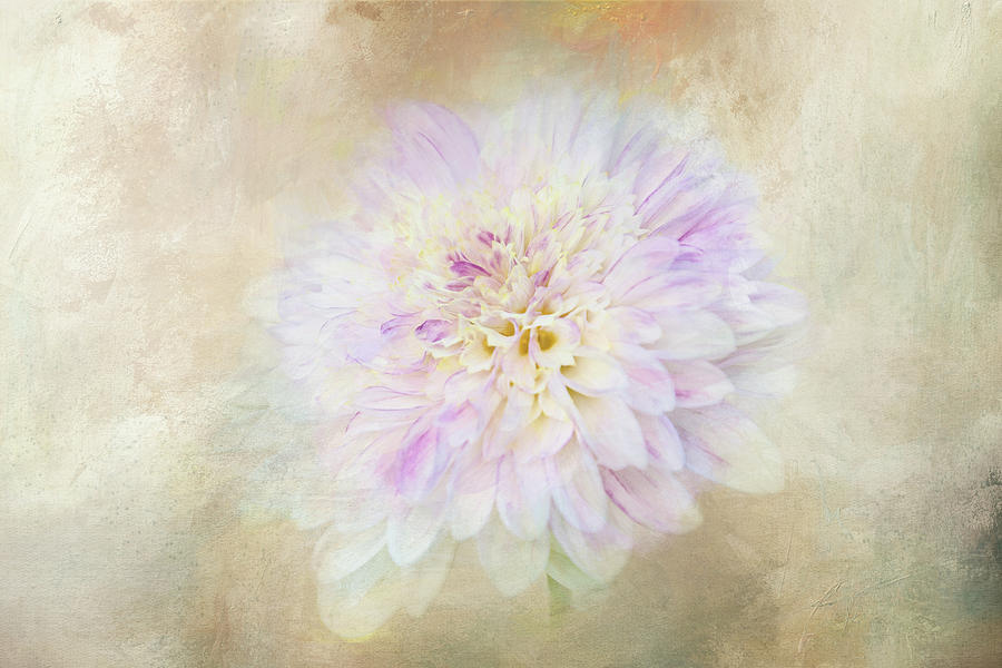 Abstract Digital Art - White Dahlia Abstract by Terry Davis