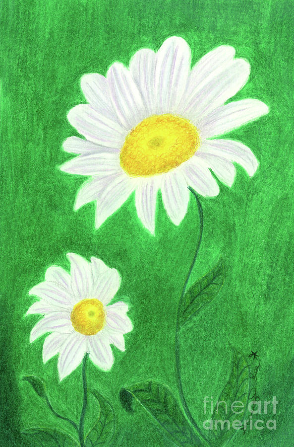 White Daisies Painting by Dorothy Lee