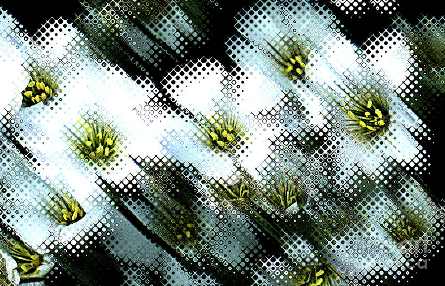 White Daisy Bubbles Digital Art by Deb Nakano