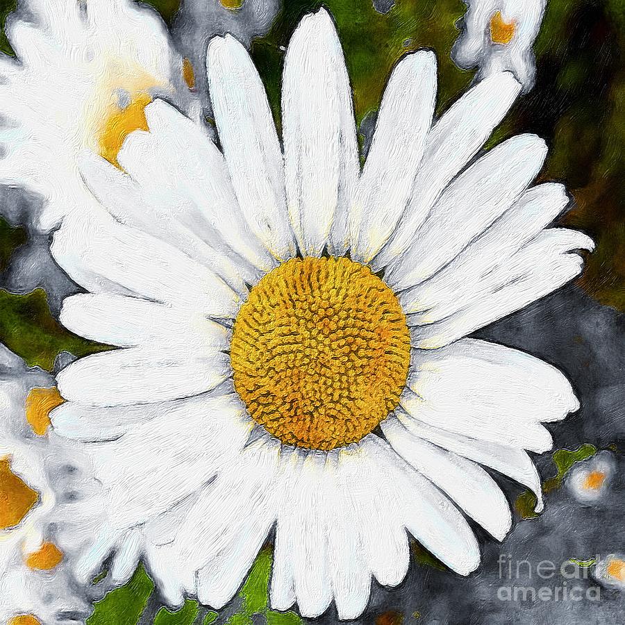 White Daisy Flower Head 1 Digital Art by Douglas Brown - Fine Art America