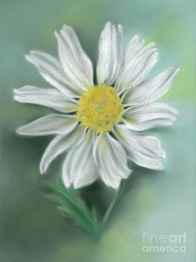 White Daisy Flower with Yellow Eye Painting by MM Anderson