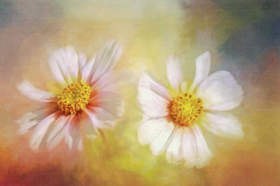White Dancing Flowers Digital Art by Terry Davis
