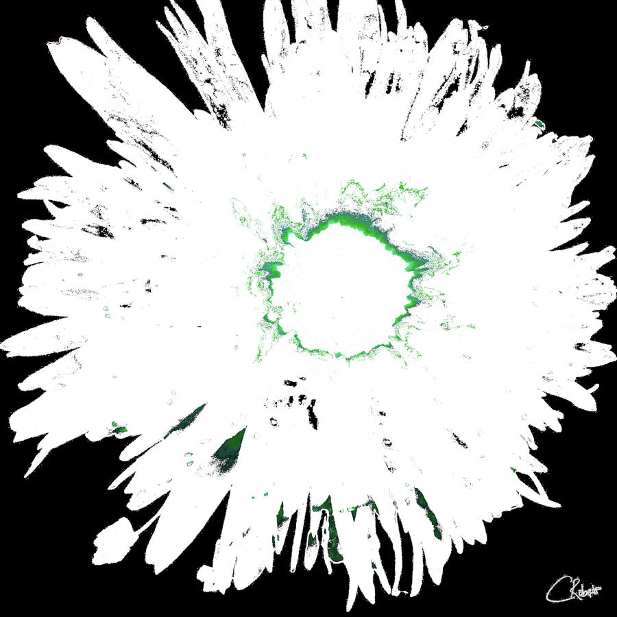 White Distressed Daisy on a Dark Background Mixed Media by Catriona ...