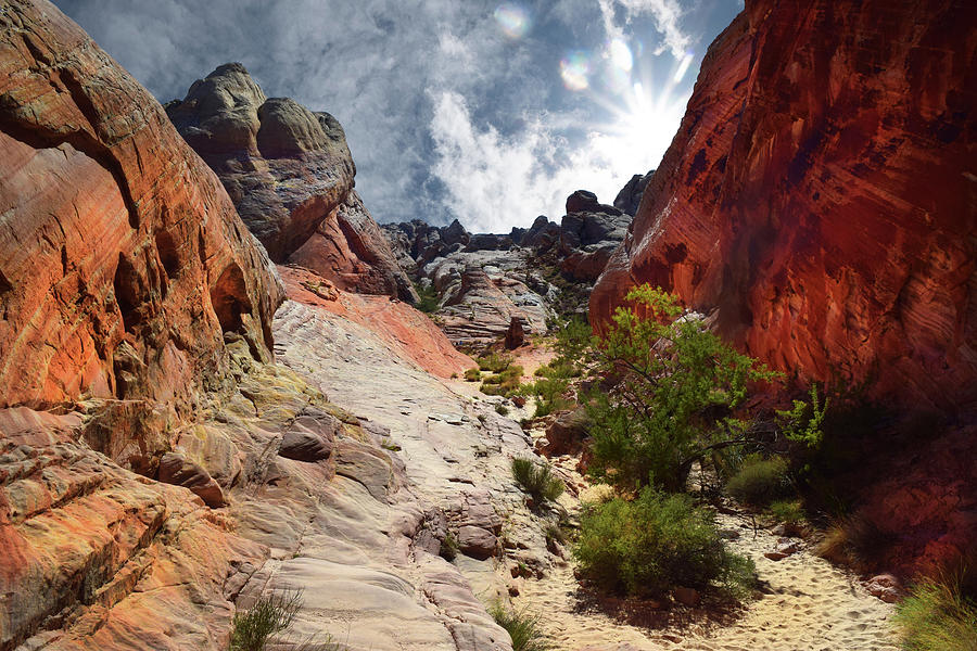 White Domes Trail Valley Of Fire Photograph by Frank Wilson