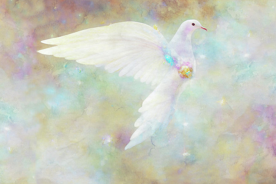 White Dove Digital Art by Peggy Collins