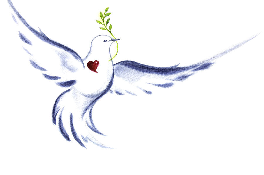 White Dove Spirit Of Love and Peace Drawing by Spiritartist