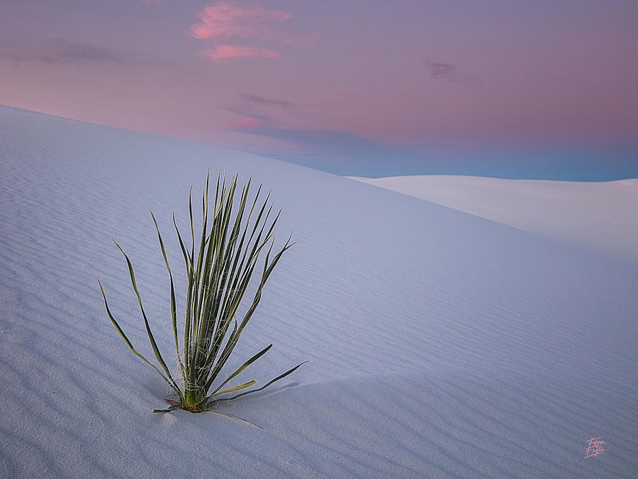 White Dunes Photograph by Edgars Erglis