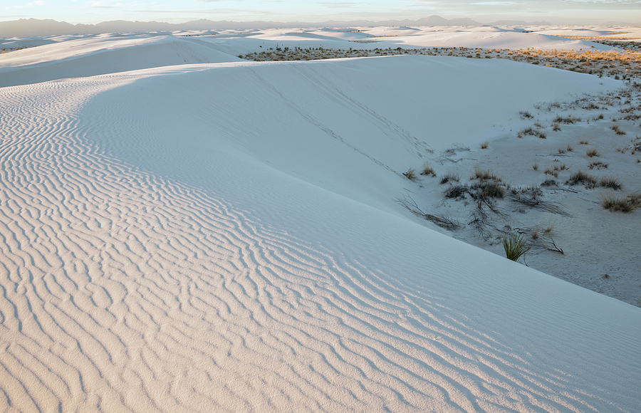 White Dunes Photograph by Loree Johnson