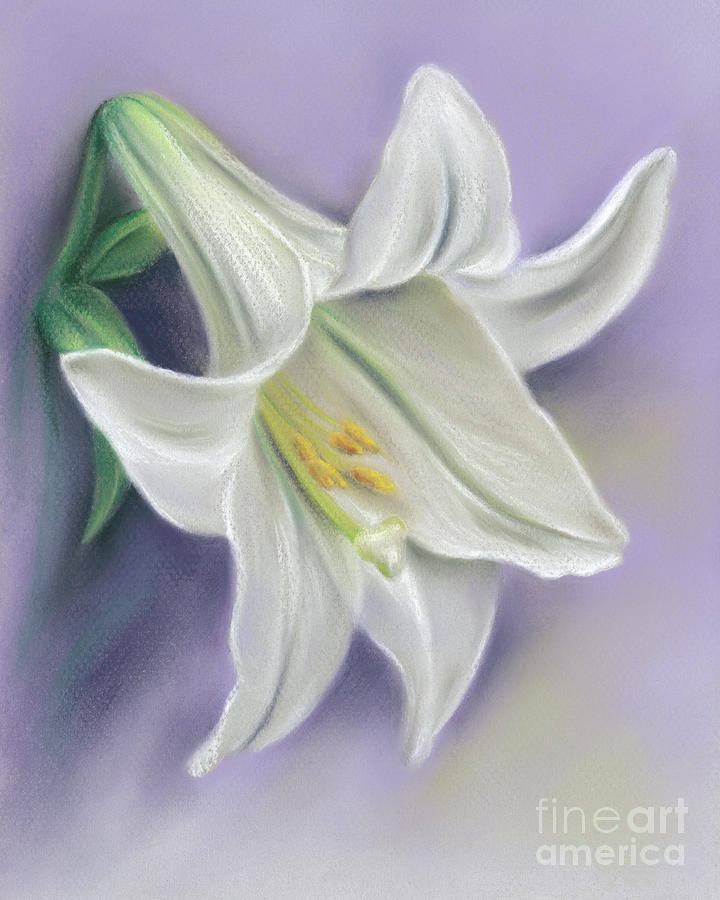 White Easter Lily Blossom on Purple Painting by MM Anderson