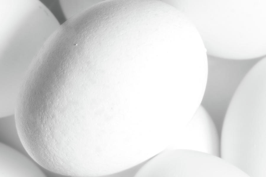 White Egg Photograph by Bob Orsillo