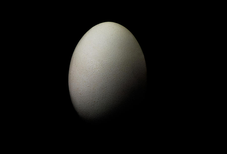 White egg on black background still life Photograph by Alessandra RC