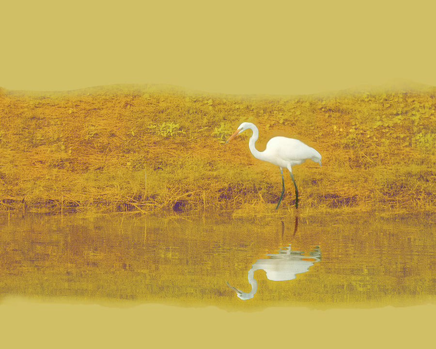 White Egret on Gold Background Photograph by George Harth