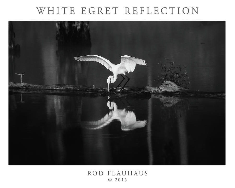 Black And White Photograph - White Egret Reflection by Rod Flauhaus