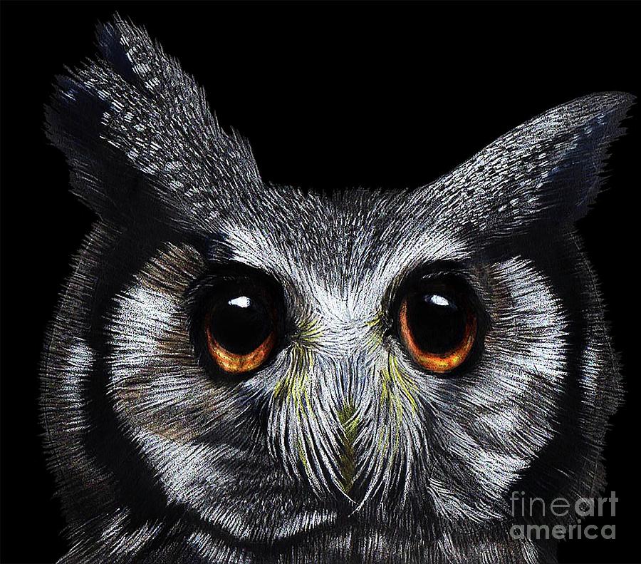 White-faced Owl Drawing
