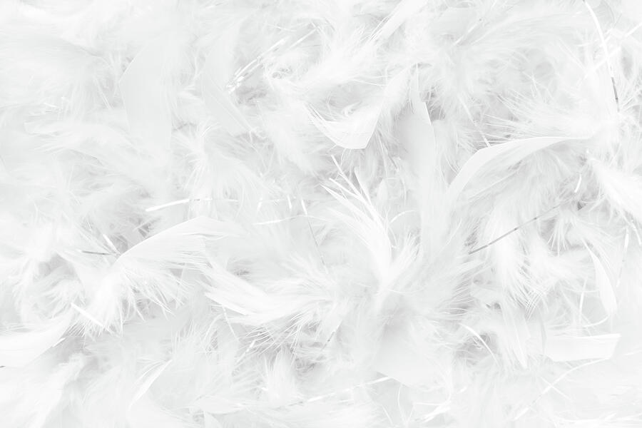White feather abstract background Photograph by Severija Kirilovaite