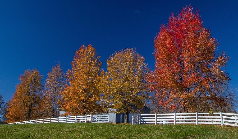 White Fence Fall Color Photograph by Kevin Craft
