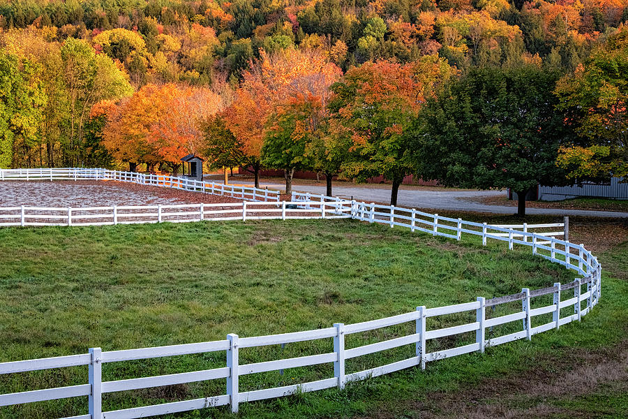 White Fence In Autumn Photograph by Tom Singleton