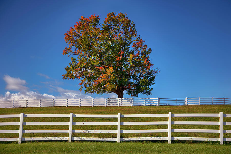 White Fence on Farm in Fall Photograph by Joann Vitali
