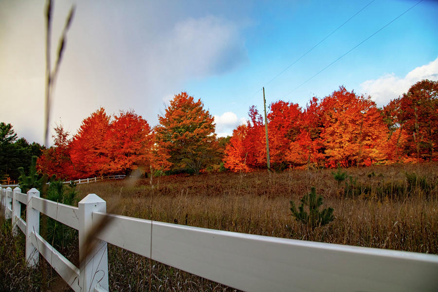 White fence with fall colors in northern Michigan Photograph by Eldon McGraw