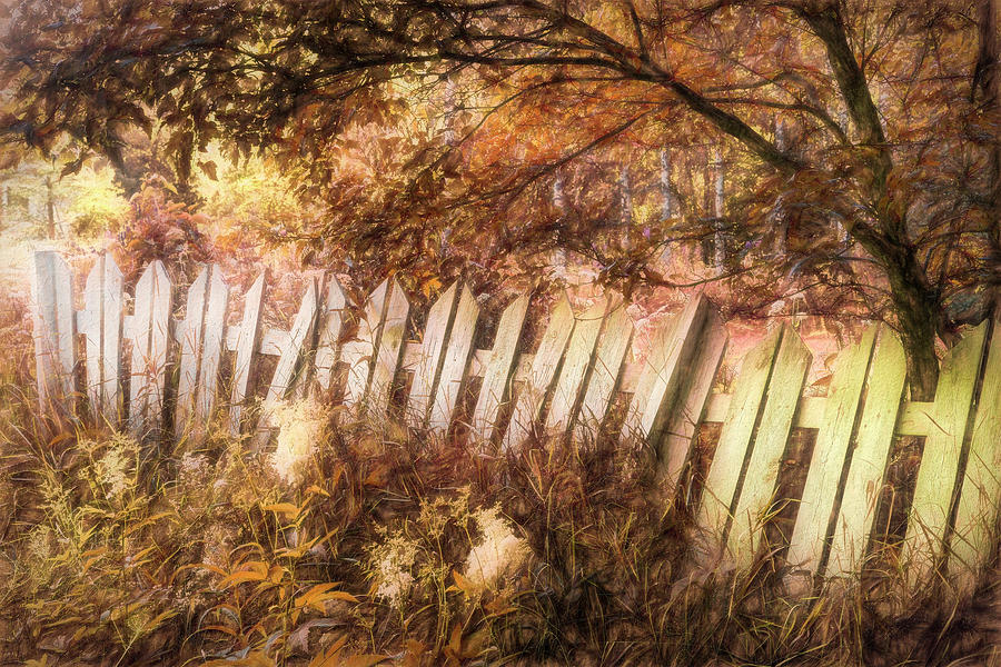 White Fences in the Fall Painting Photograph by Debra and Dave Vanderlaan