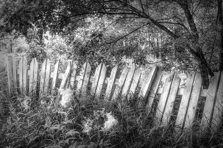 White Fences in the Summer in Black and White Photograph by Debra and Dave Vanderlaan