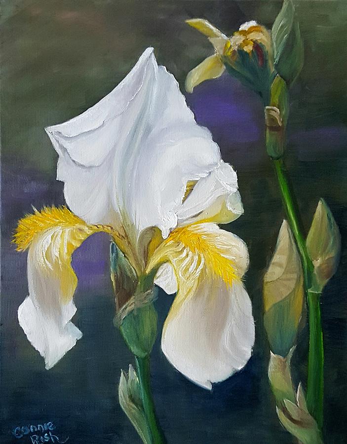 White fleur de lis Bloom Painting by Connie Rish
