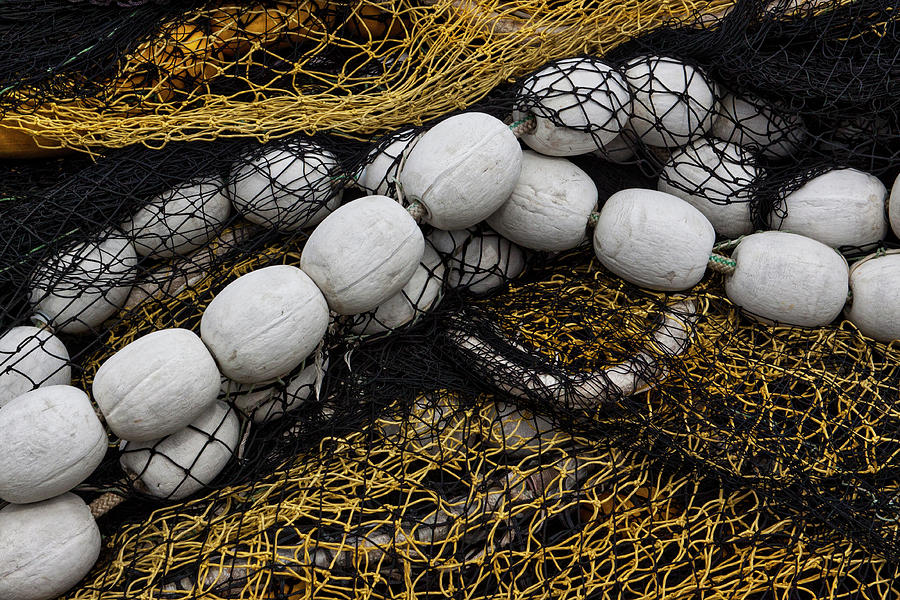 White Floats and Yellow and Black Fishing Nets Photograph by Carol Leigh