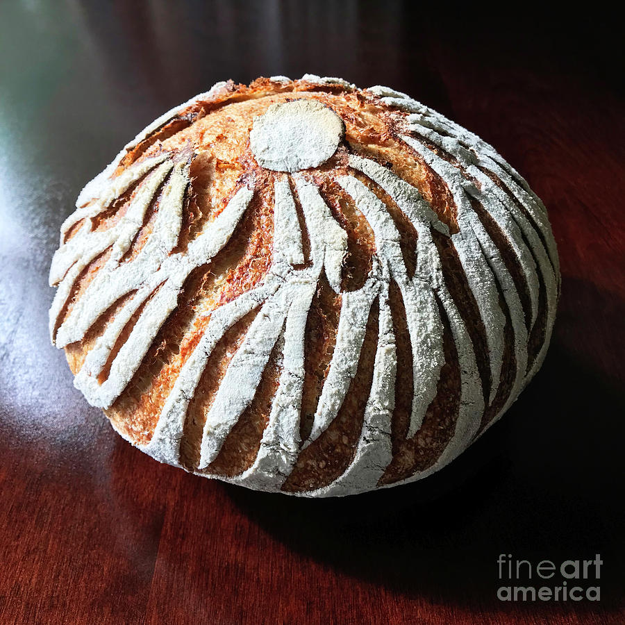 White Flour Dusted Sourdough With 4 Score Designs. 2 Photograph by Amy E Fraser