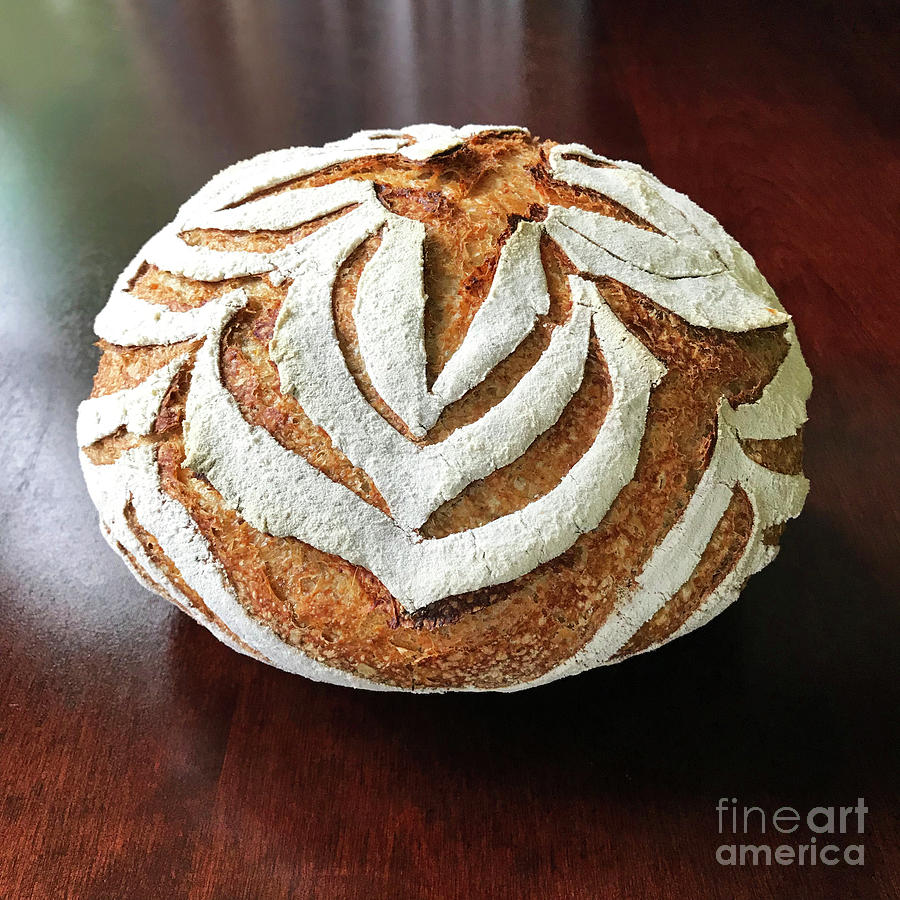 White Flour Dusted Sourdough With 4 Score Designs. 4 Photograph by Amy E Fraser