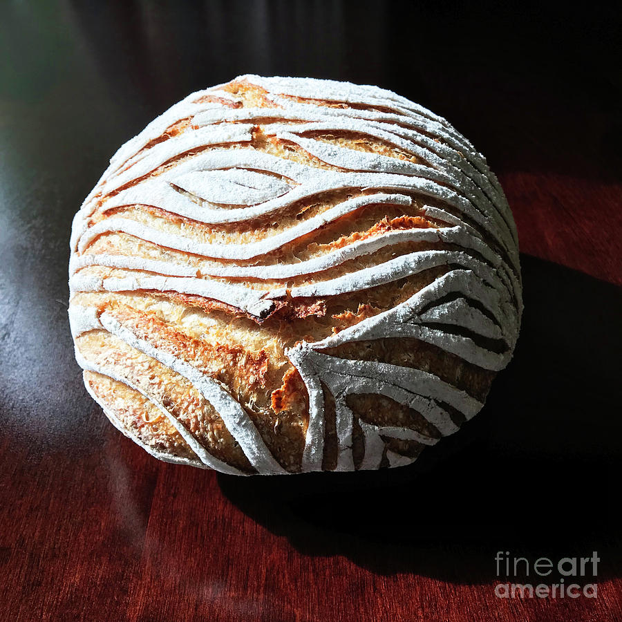 White Flour Dusted Sourdough With 4 Score Designs. 5 Photograph by Amy E Fraser