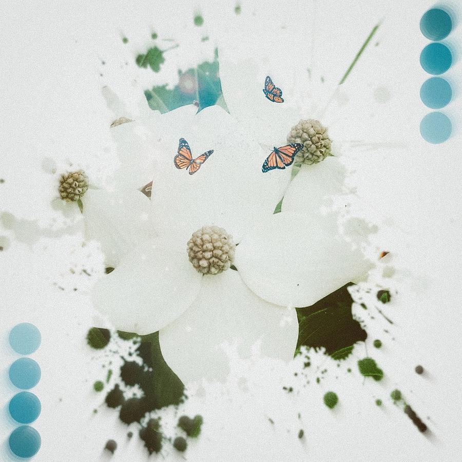 White flower art Photograph by Steven Wills