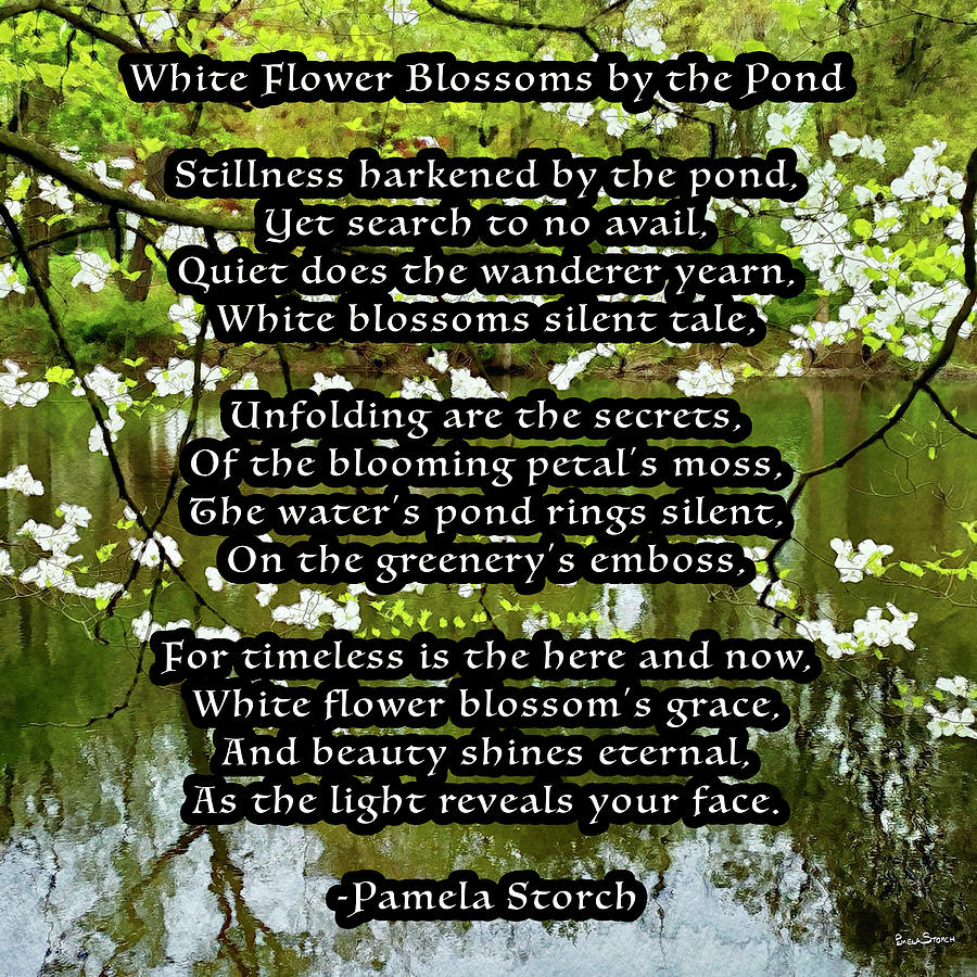 Flower Digital Art - White Flower Blossoms by the Pond Poem by Pamela Storch